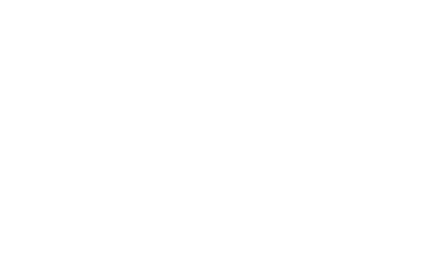 The Best of Cape May